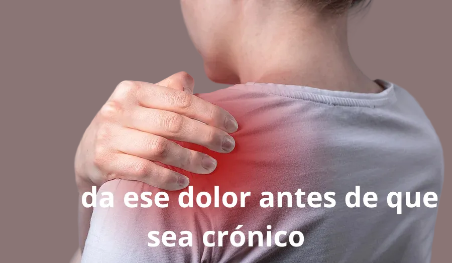 ✅  Hombrera terapéutica Shoulder Confort